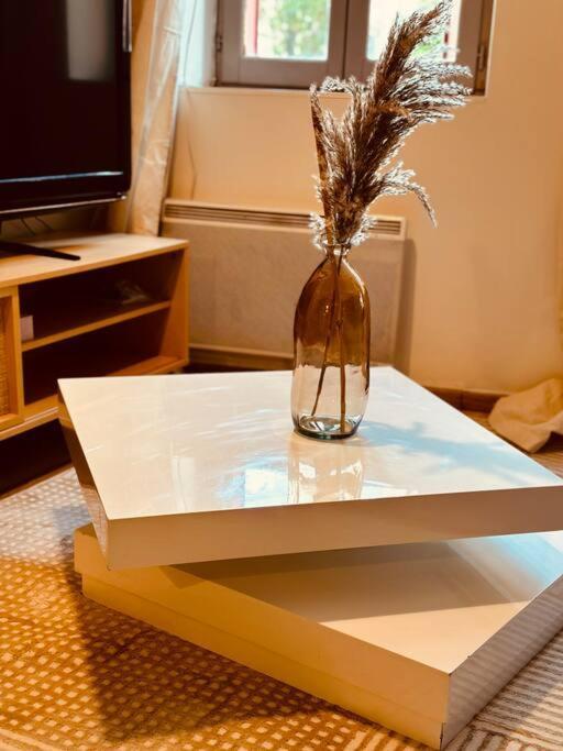 Cocon Flanerie & Bambou Apartment